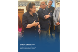 «Τεχνολογία και Πολιτισμός». Ειδική Μόνιμη Επιτροπή Έρευνας και Τεχνολογίας 17-06-2025